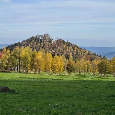 Rezydencja Green Hill - Ekskluzywny Dom W Karpaczu Exterior foto