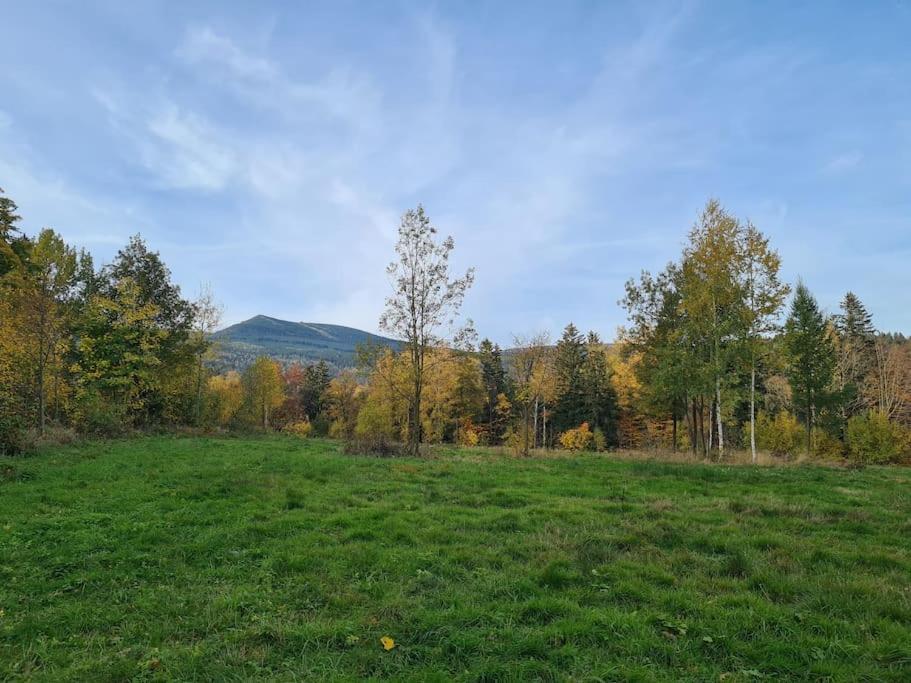 Rezydencja Green Hill - Ekskluzywny Dom W Karpaczu Exterior foto
